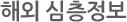 해외심층정보